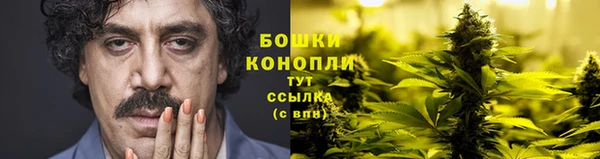 ECSTASY Липки