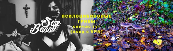 ECSTASY Липки