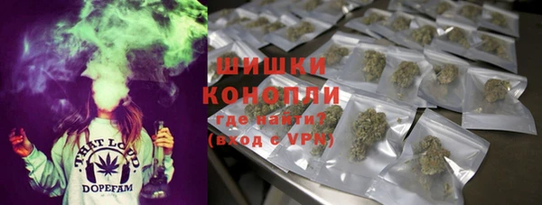 ECSTASY Липки