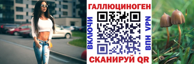 Псилоцибиновые грибы Cubensis  Пойковский 